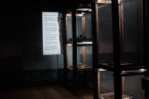 Materia Ercolano. Sala delle produzioni