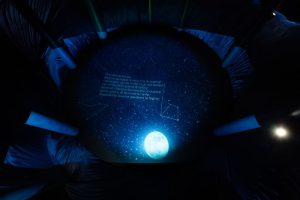 Materia Ercolano. Proiezioni nella Sala del Bosco